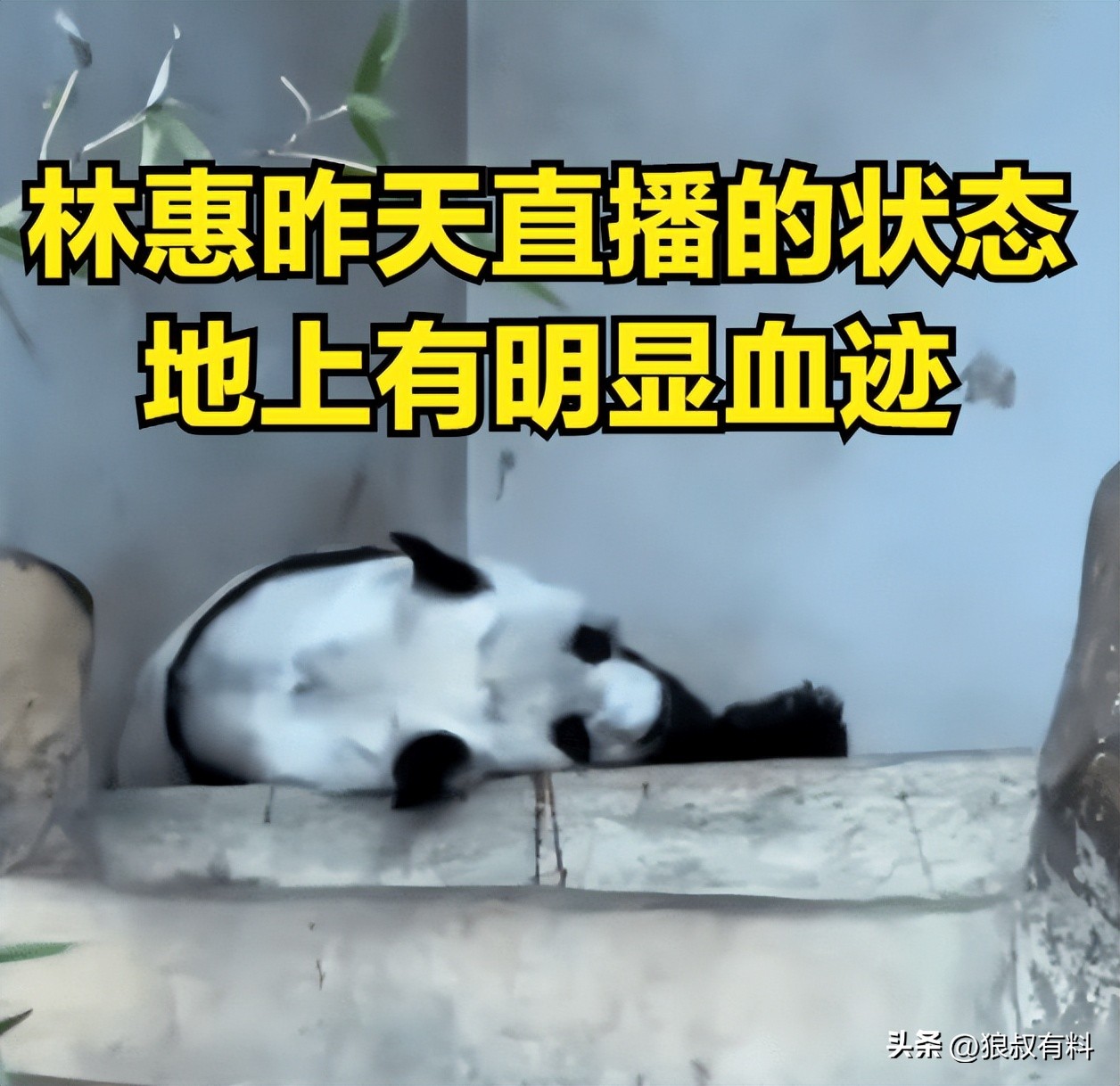 泰国五一,中国游客没来,机场一片冷清,网友:中国赚钱中国花