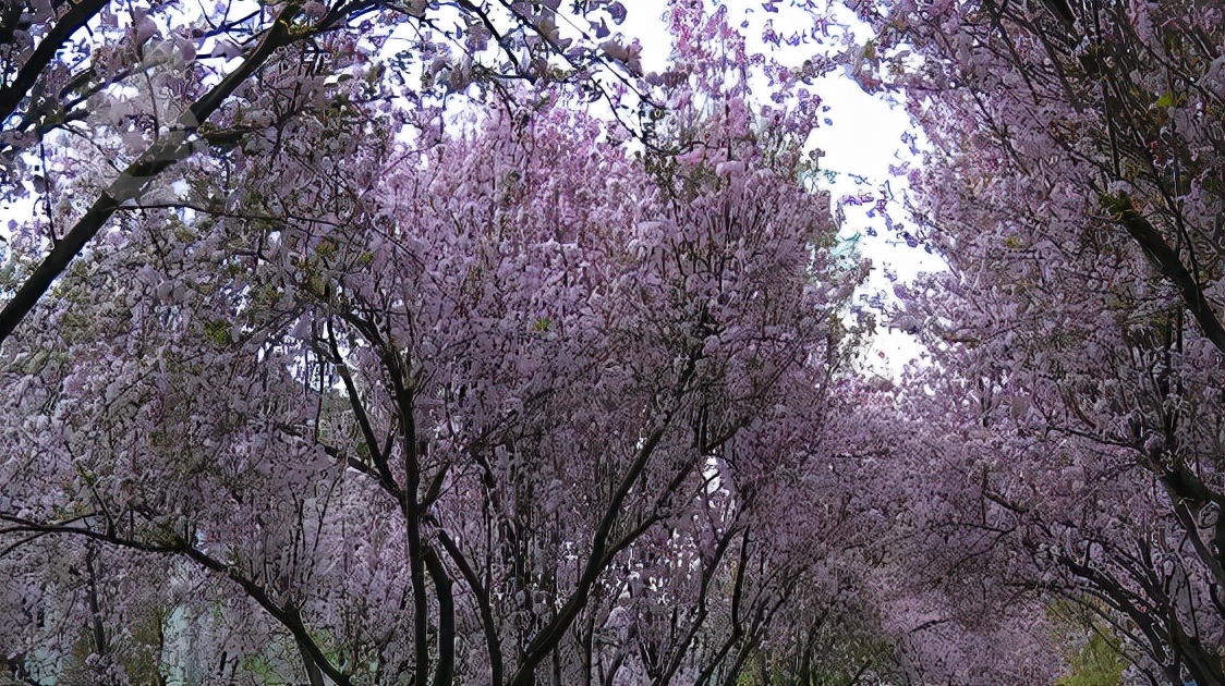 昆明春暖花开解锁春日美景好去处,春暖花开踏青好去处