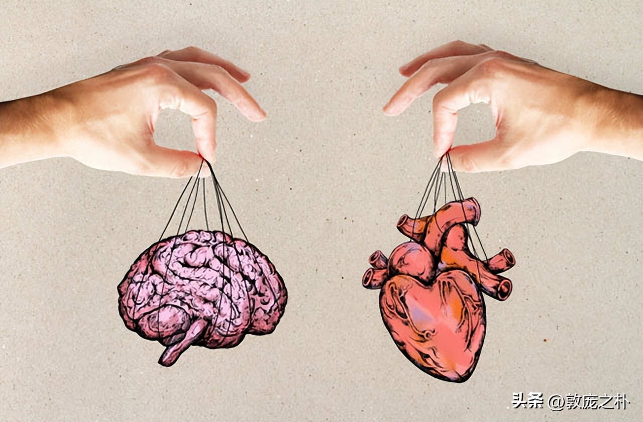 器官移植后基因会改变吗,器官移植的器官都去哪儿了