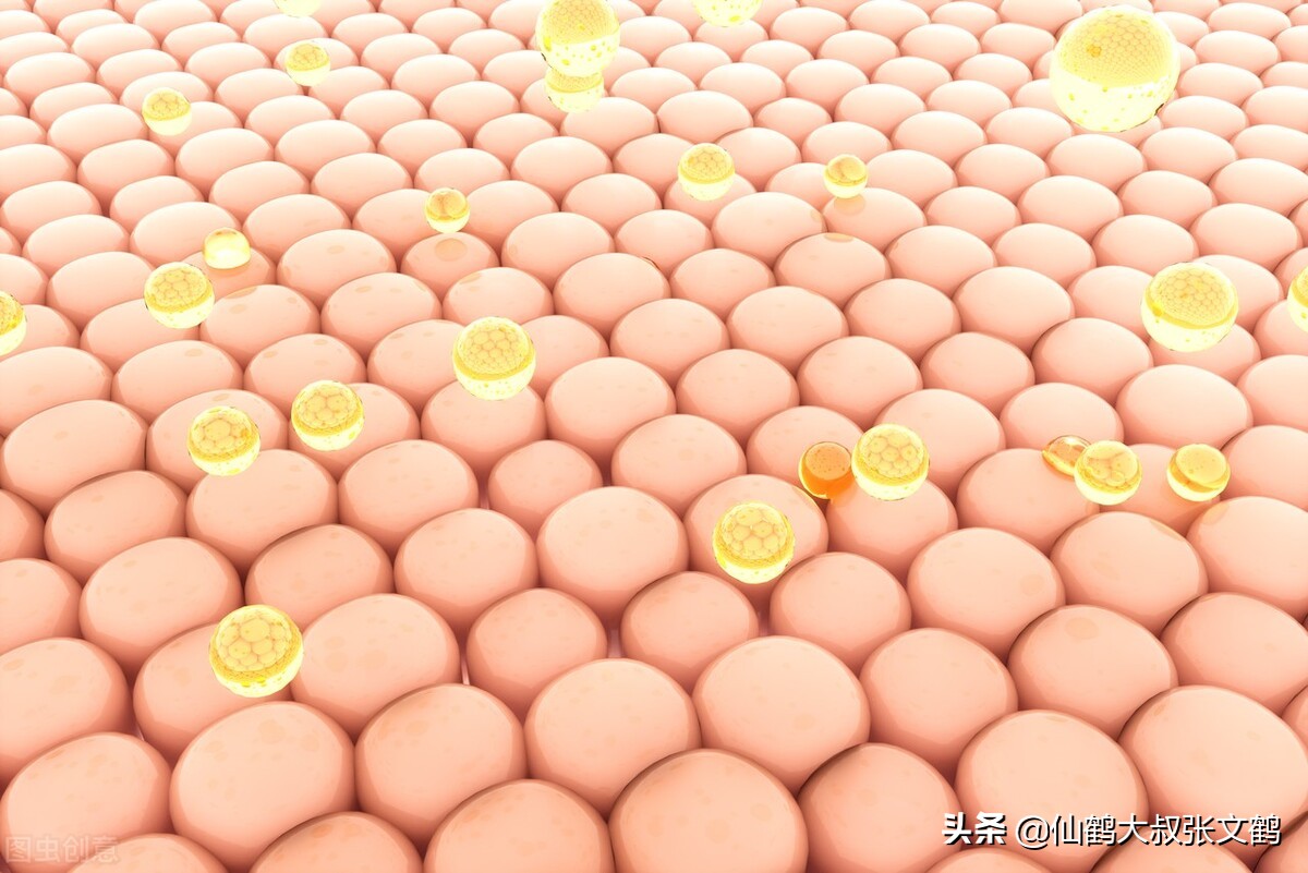 皮肤有皱纹能改善吗,皮肤出现皱纹是缺少什么