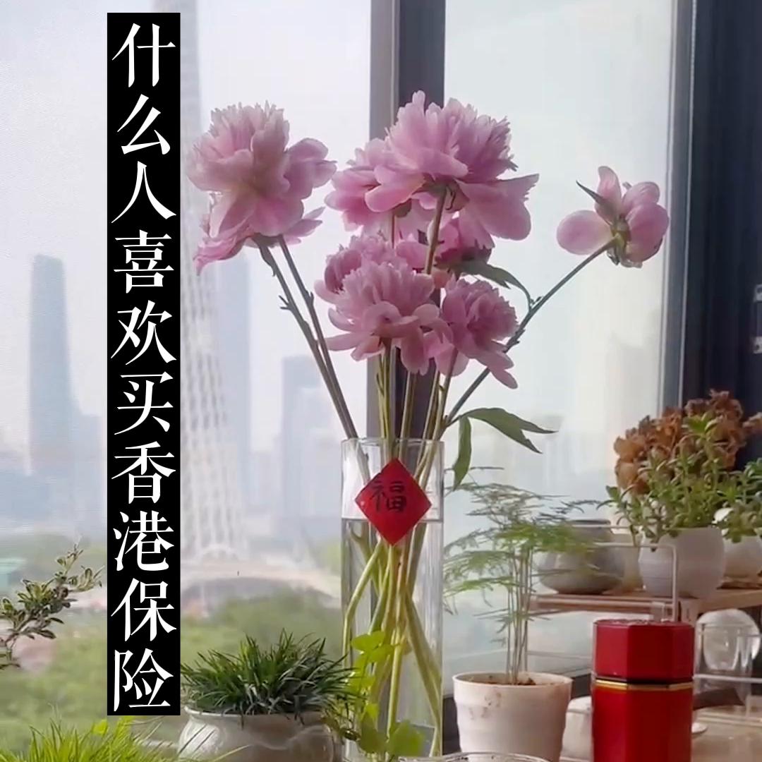 什么样的人适合买香港保险,什么人需要购买商业保险