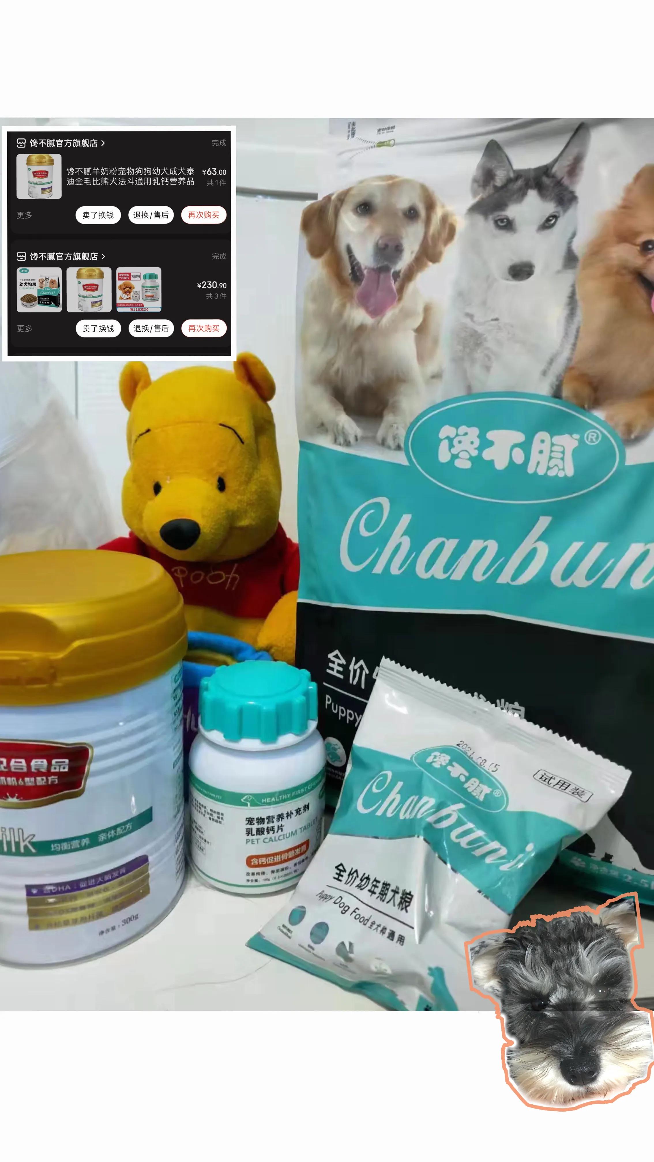 1-12月保姆级养狗指南,新手养狗保姆级教程