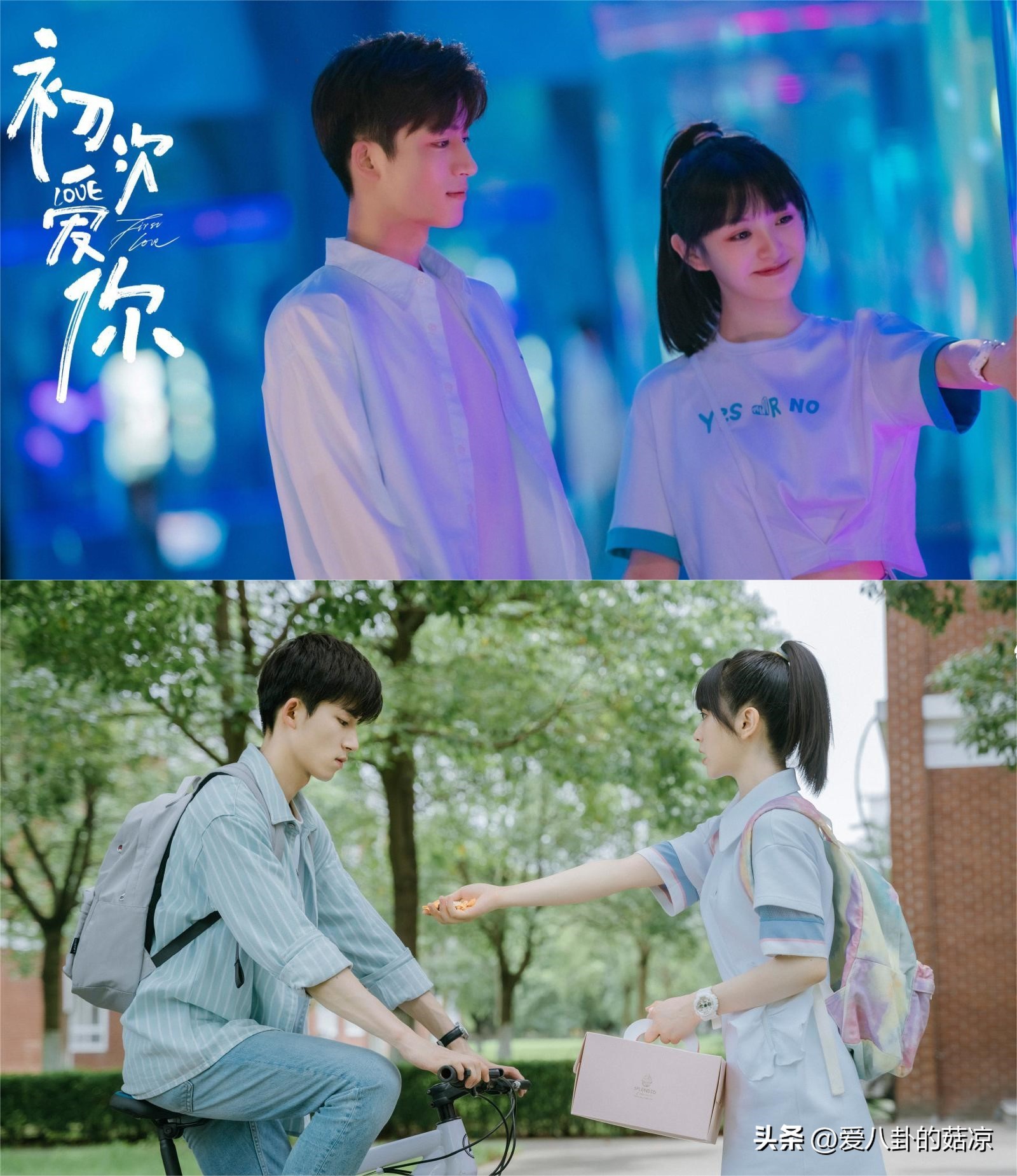 哪些好看的校园偶像剧免费看,2021芒果tv校园青春偶像剧