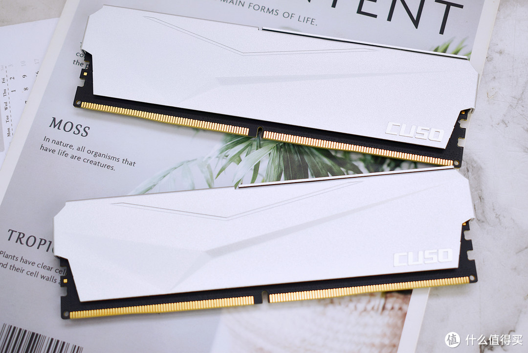 性价比之王！酷兽（CUSO）夜枭DDR56400内存上手，省钱也有强战力
