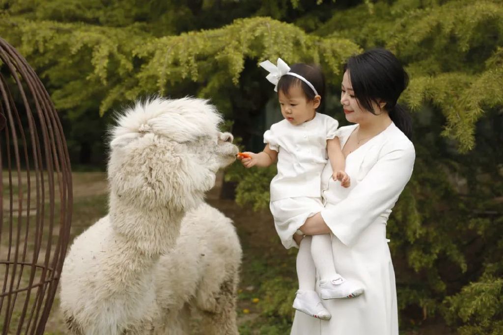 新生儿囤货清单,二月新生儿必备囤货清单超全