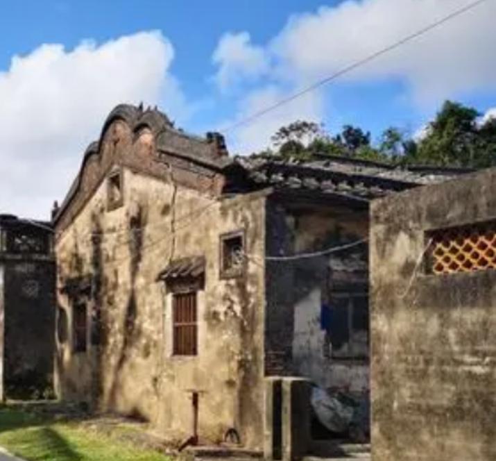 上海农妇怀胎四年,上海农妇怀胎四年未生全集