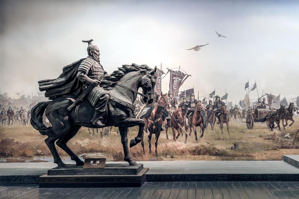 沙棘科普视频,沙棘的八大之最