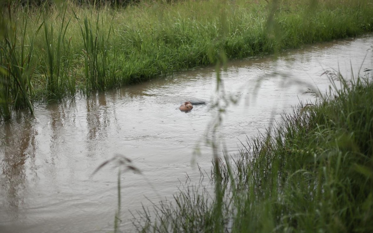 风景后期图片,风景后期