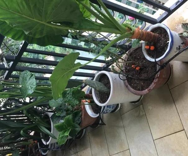 卫生间门口墙面渗水的原因,卫生间半隔断溅水怎么办