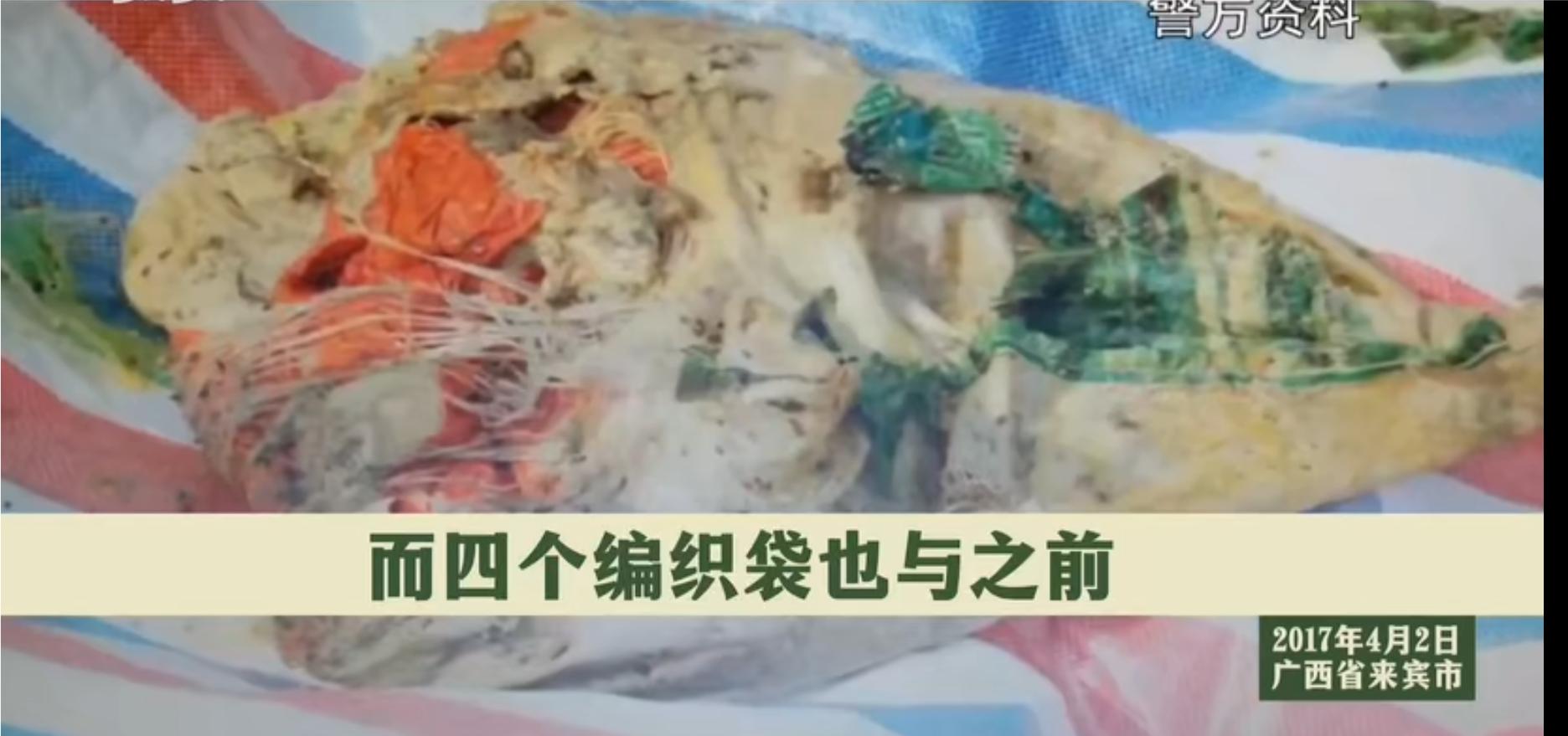 广西杀人碎尸案真实案例,广西杀害三姐妹碎尸案