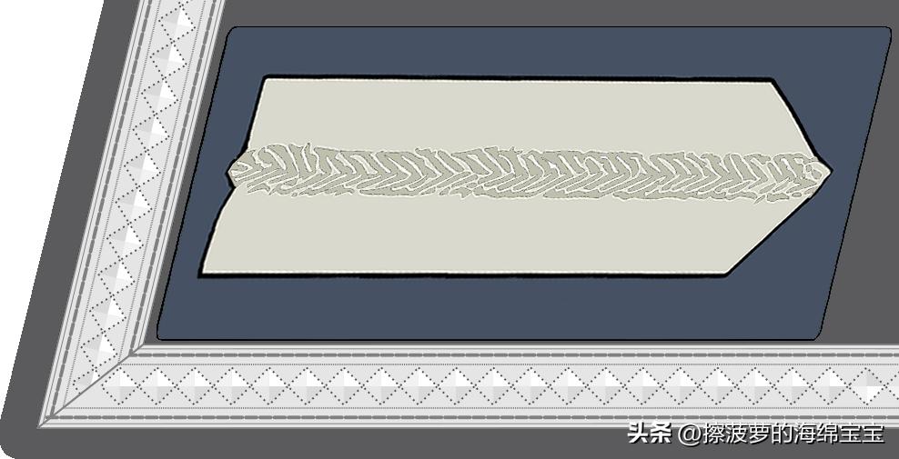 二战德国国防军医疗兵军衔标志