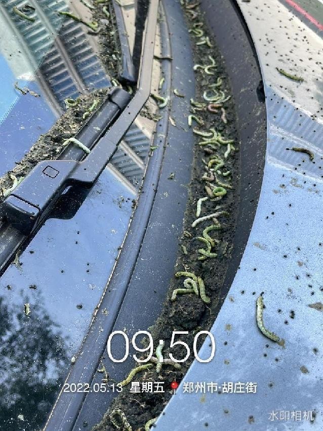 12月份园林绿化养护工作重点,元月份园林养护重点工作