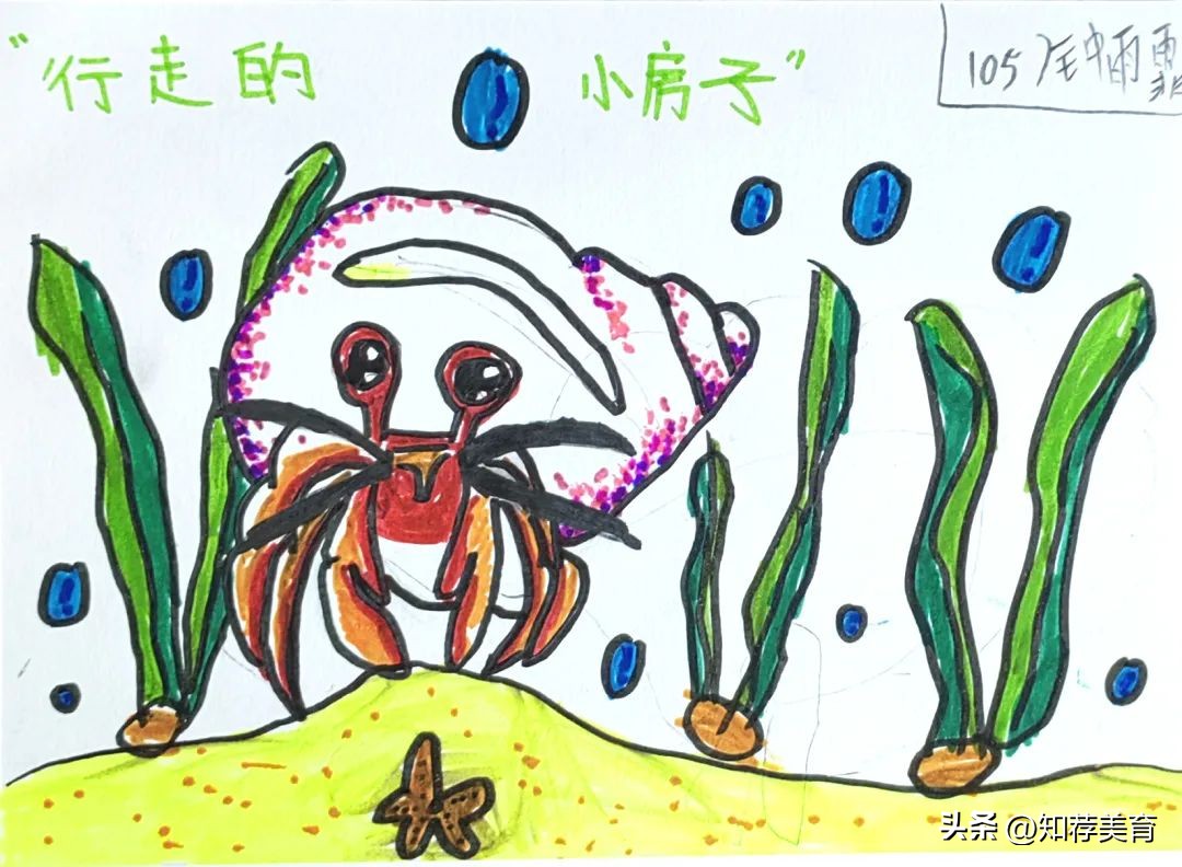 探寻桑蚕文化感受桑蚕之美,走进蚕桑研究所探寻蚕桑文化