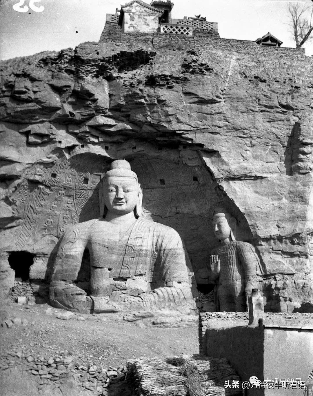 万里追踪纪录片完整版,1937年万里猎影记