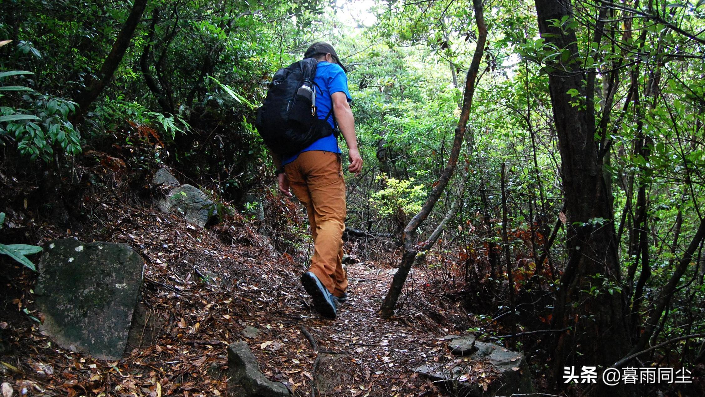 野外旅游怎么防蛇咬伤别人,野外防被蛇咬带什么药可保命