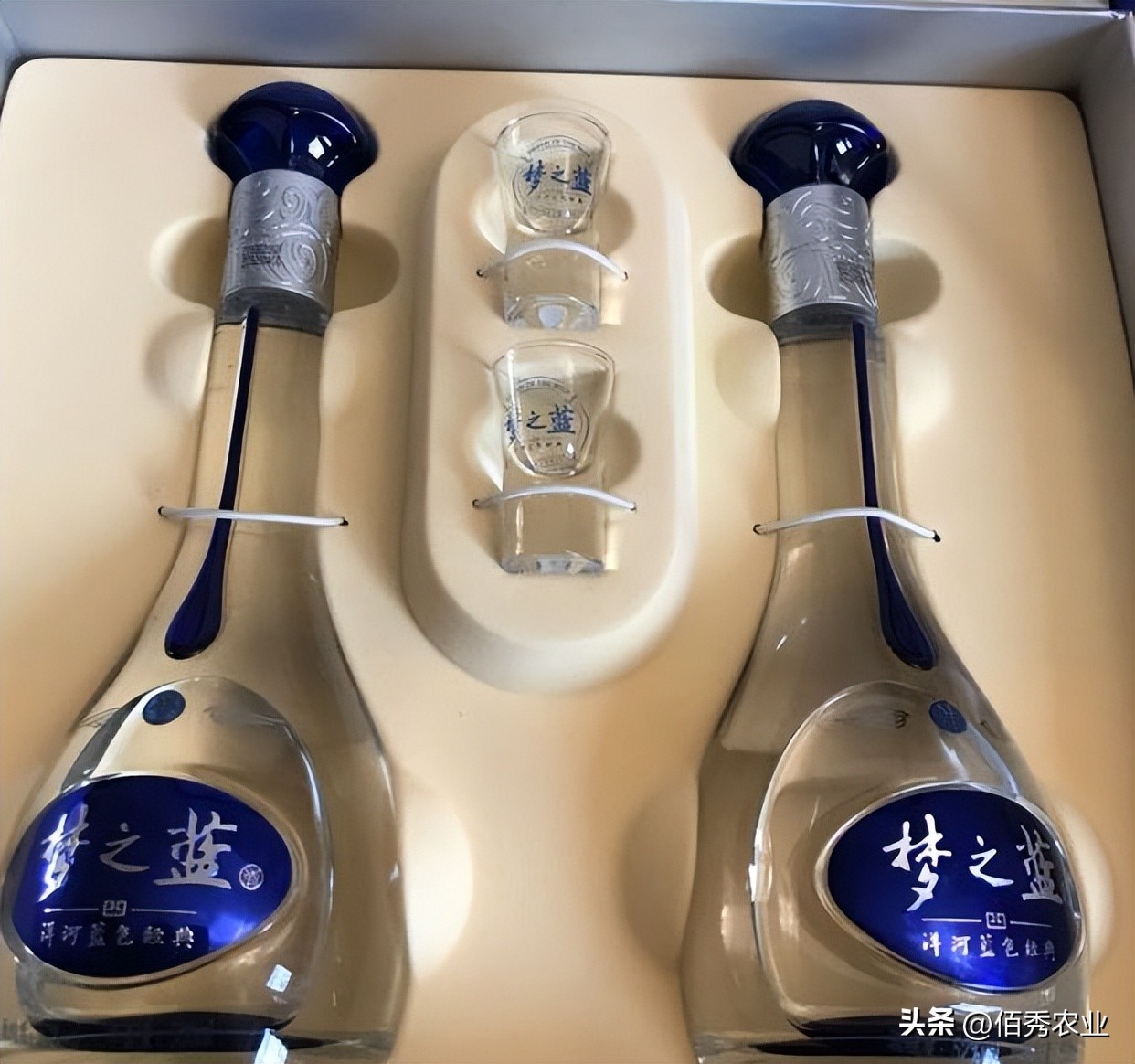 洋河天之蓝梦之蓝海之蓝怎么区分,洋河酒梦之蓝和海之蓝天之蓝区别