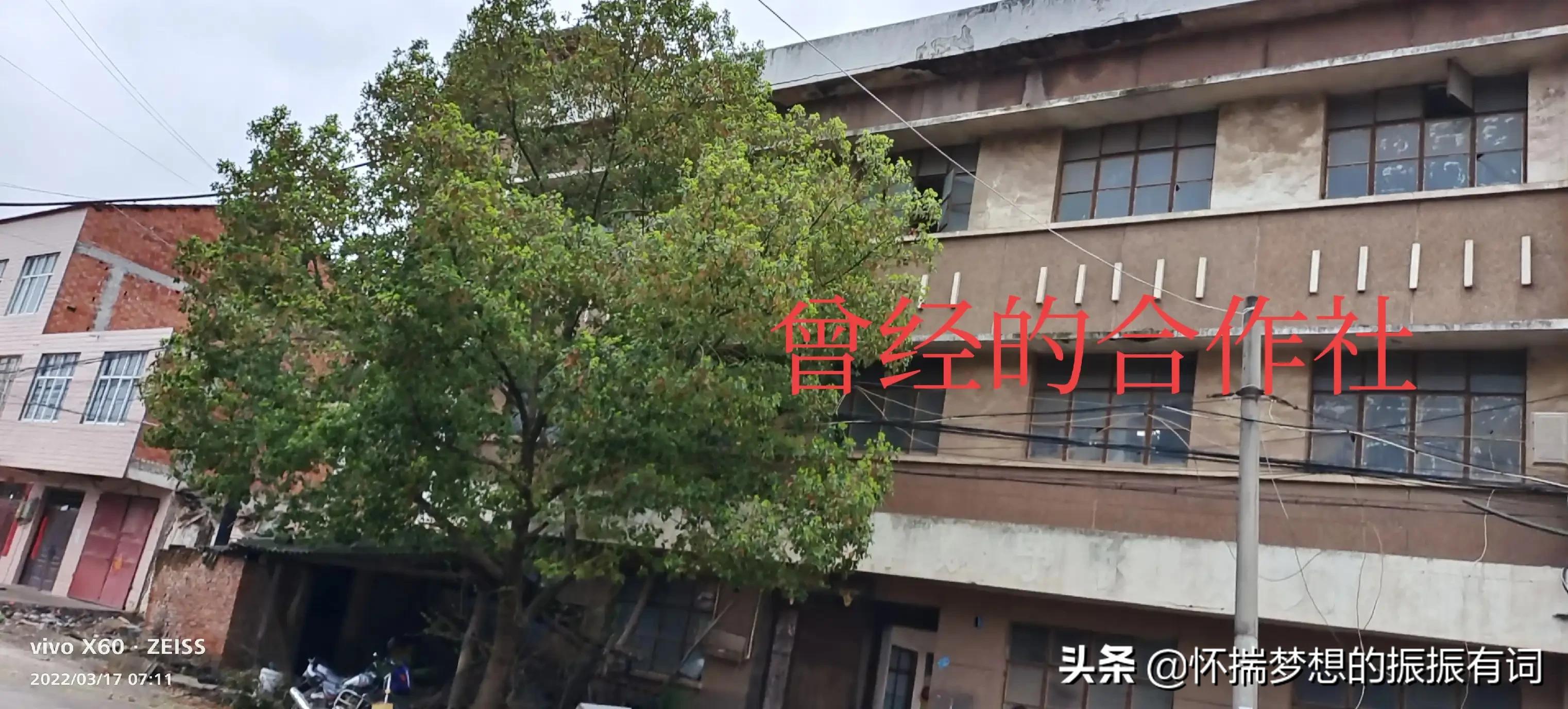 曾经辉煌没落后又重新崛起的产品,曾经的辉煌如今只剩下没落