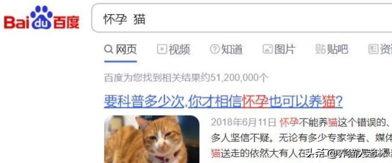 不让养猫是封建迷信吗,怀孕不能养猫是真的吗