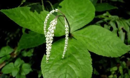 100种迷人的“数字花”,从零到一百万,真是太神奇了