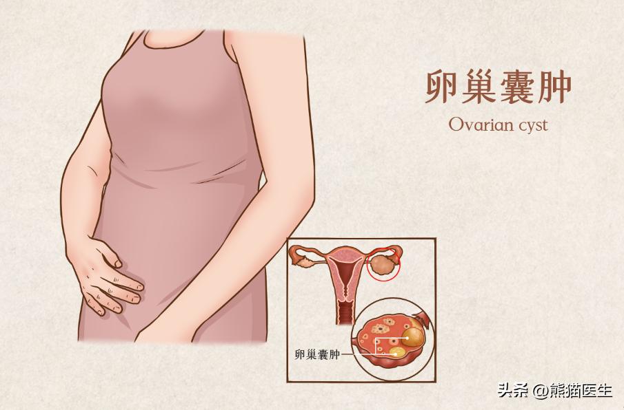 华西体检有问题48小时预警,华西医院体检报告提示