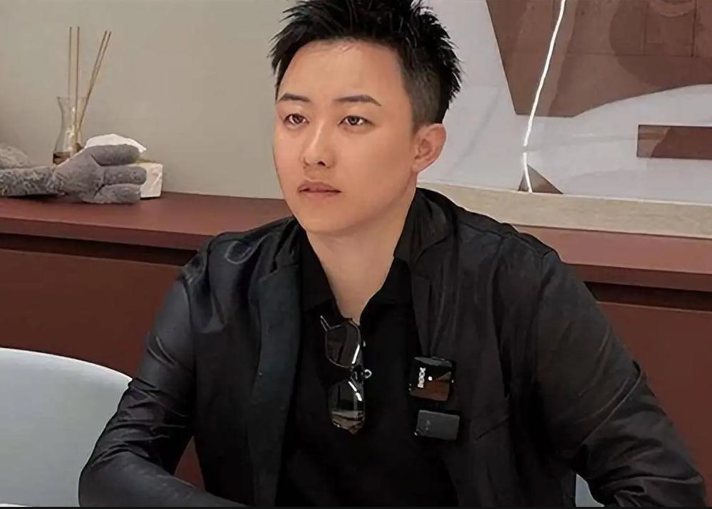 单身女ceo叶海洋生二胎,叶海洋买的精子是四国混血吗