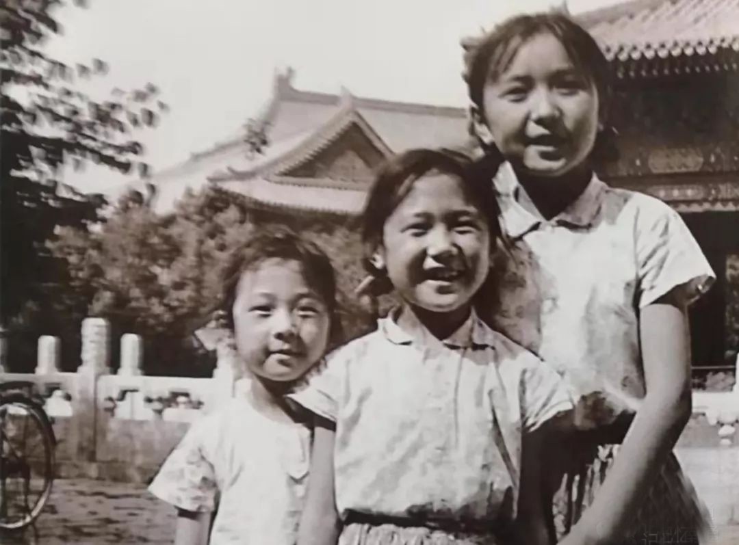 老艺术家回忆春晚,老艺术家再上春晚