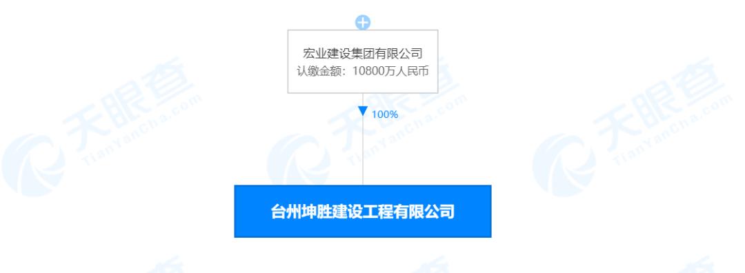 全资子公司资不抵债母公司责任,母公司欠控股子公司债务无力偿还