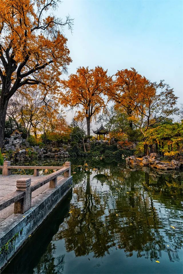 此时宜观水：苏州的水里有镜，有江，有海，有天