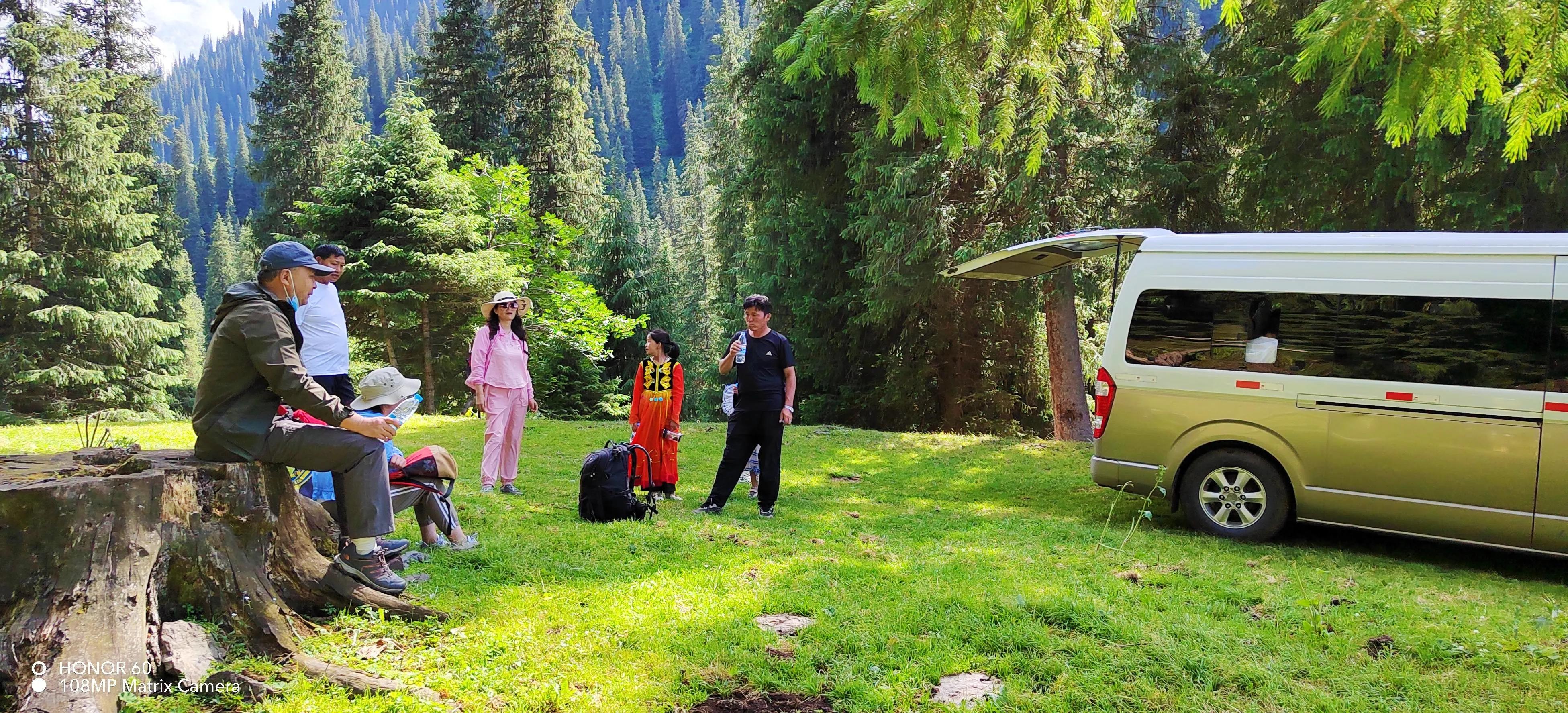 穿越森林探险视频,穿越森林探险之旅