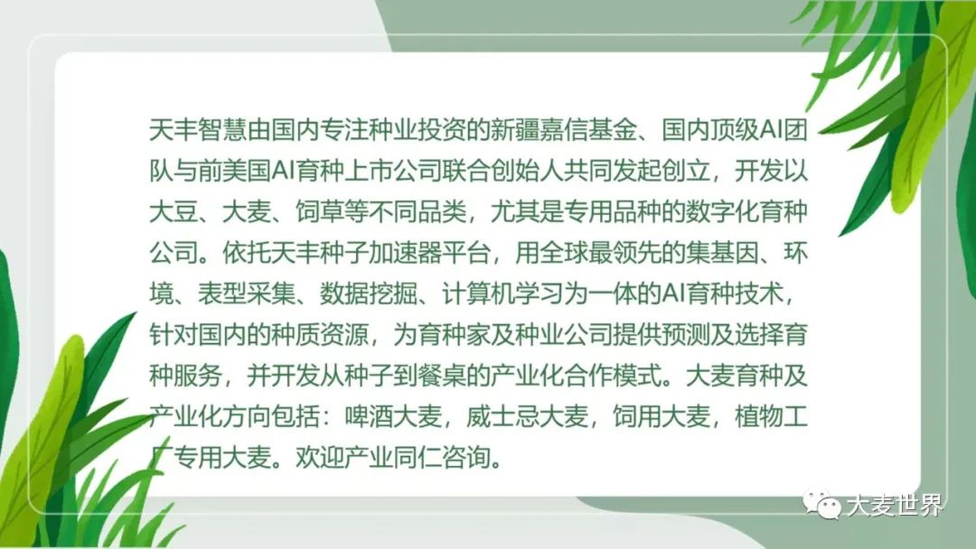 中国威士忌，百年兴衰