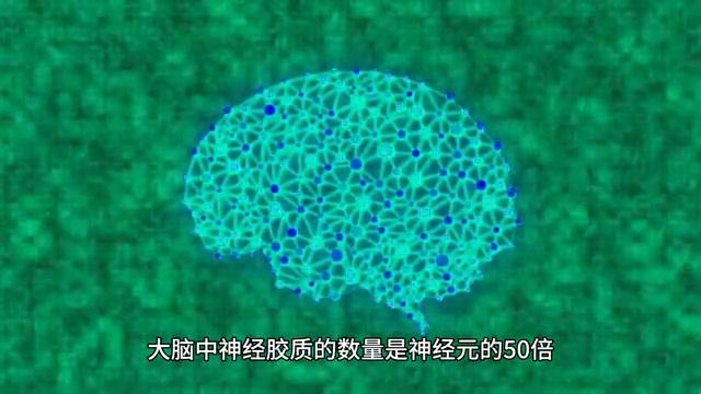 你知道吗，我们仅仅使用了大脑的10%吗？