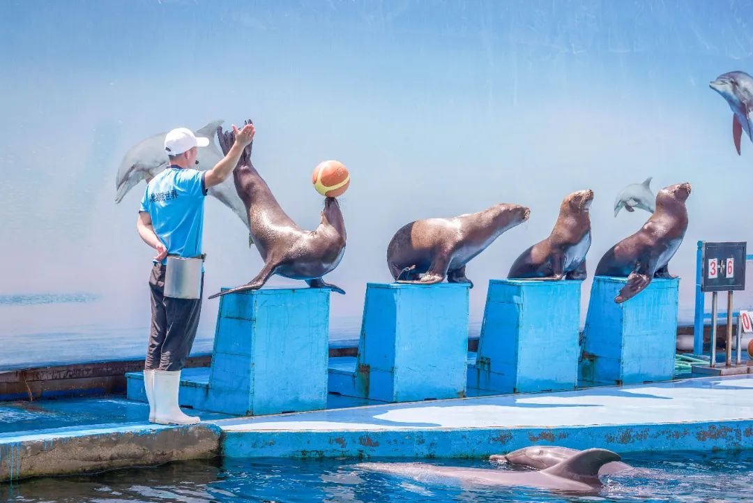 用脚步丈量城市42.195公里,2万多人用脚步丈量西安