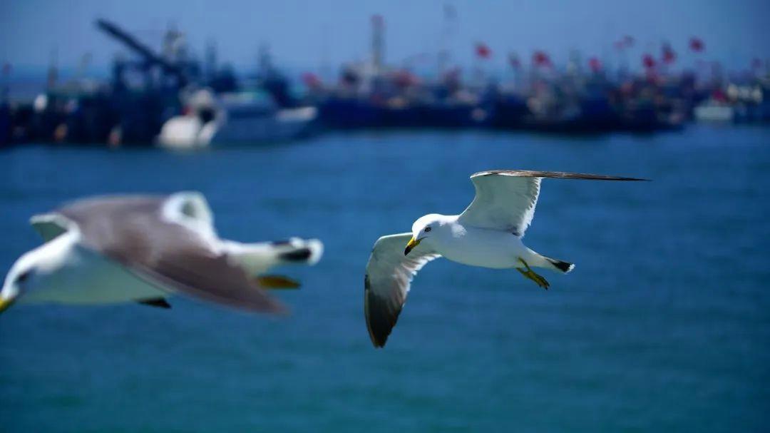 山东除了淄博还有哪里好玩,淄博都有哪些值得游玩的地方