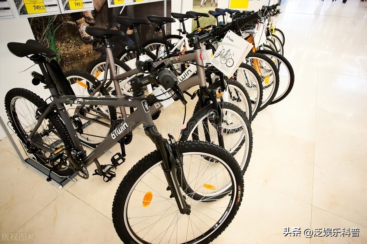 全世界十大知名自行车品牌排行图,当下哪个牌子的自行车最好