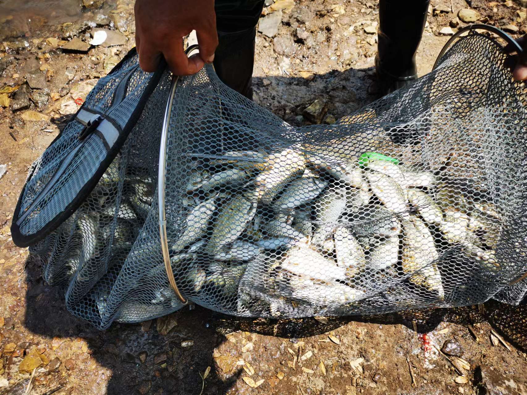 抚顺新宾莫家水库钓鱼,新宾都有哪些水库让钓鱼