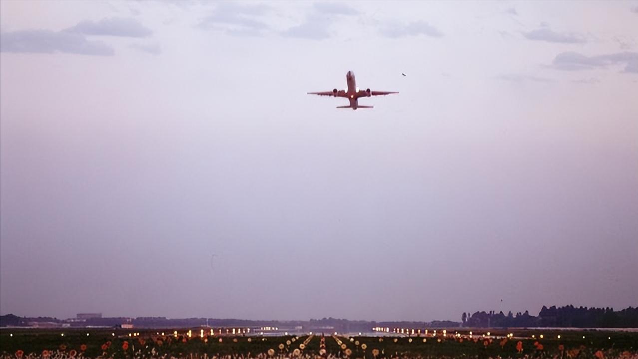 飞机特价票可以买学生票吗,飞机票可以凭学生半价购买吗