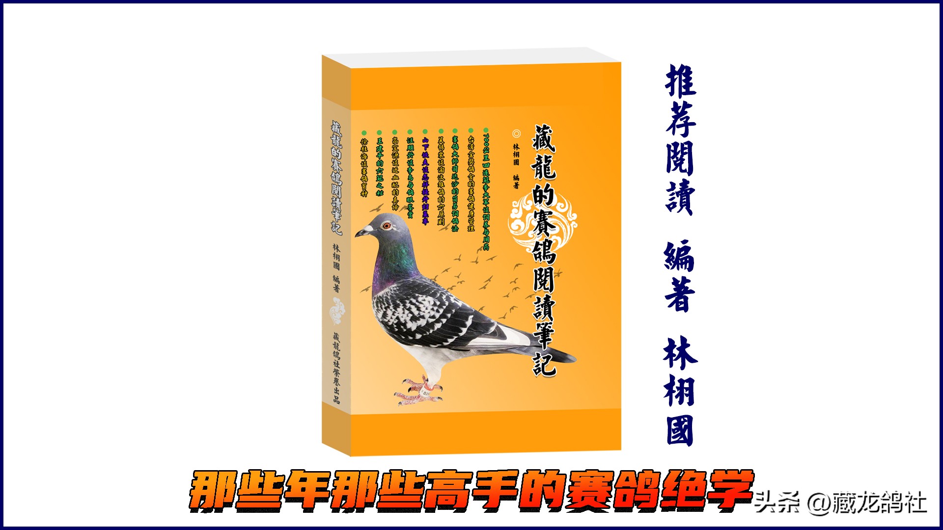 鸽子上棚比赛需要用什么药物,赛鸽打比赛补品的正确使用