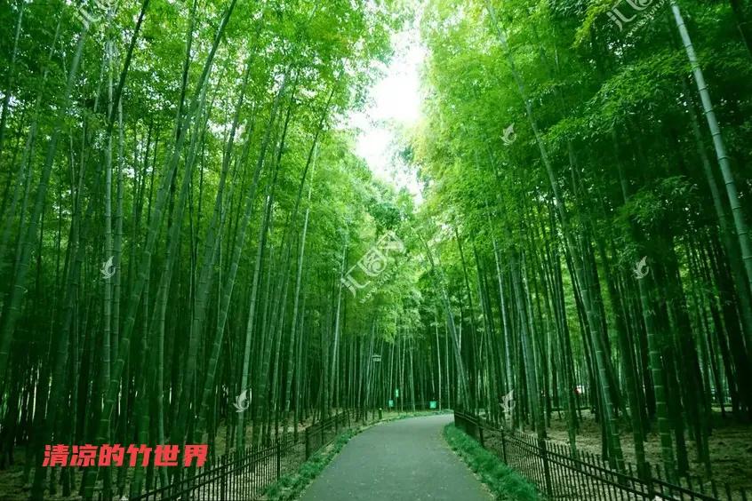 环保可折叠凉席,竹纤维凉席的危害