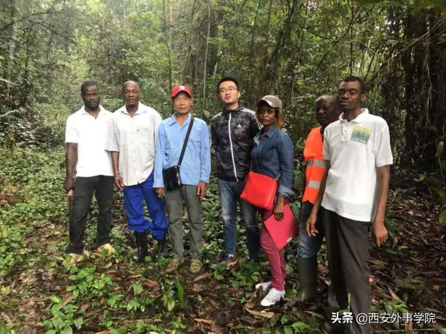 西安外事学院法语系老师,西安外事学院法语系