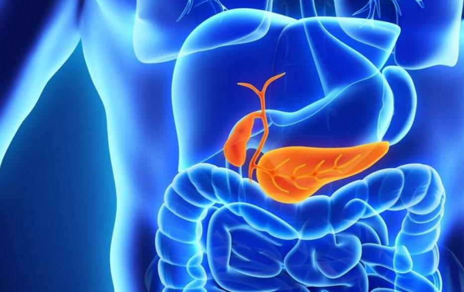 51岁男子腹痛皮肤黄，考虑胆管癌，妻子卖房治疗后，专家：误诊了