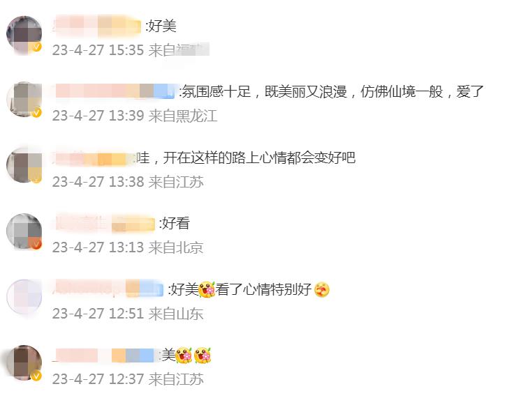 芸儿美美美美美,美美美美美美美英文