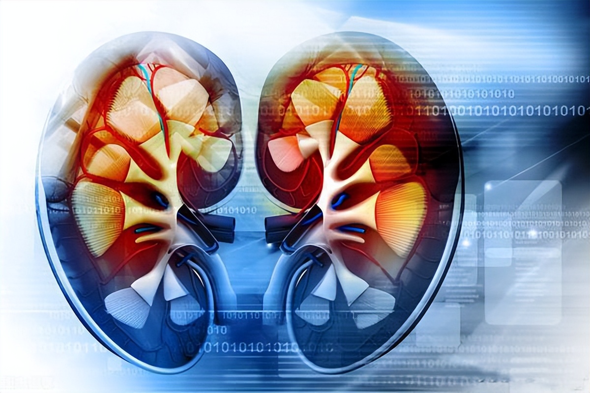 老中医李可治肾病蛋白尿的方子,老年人尿蛋白偏方