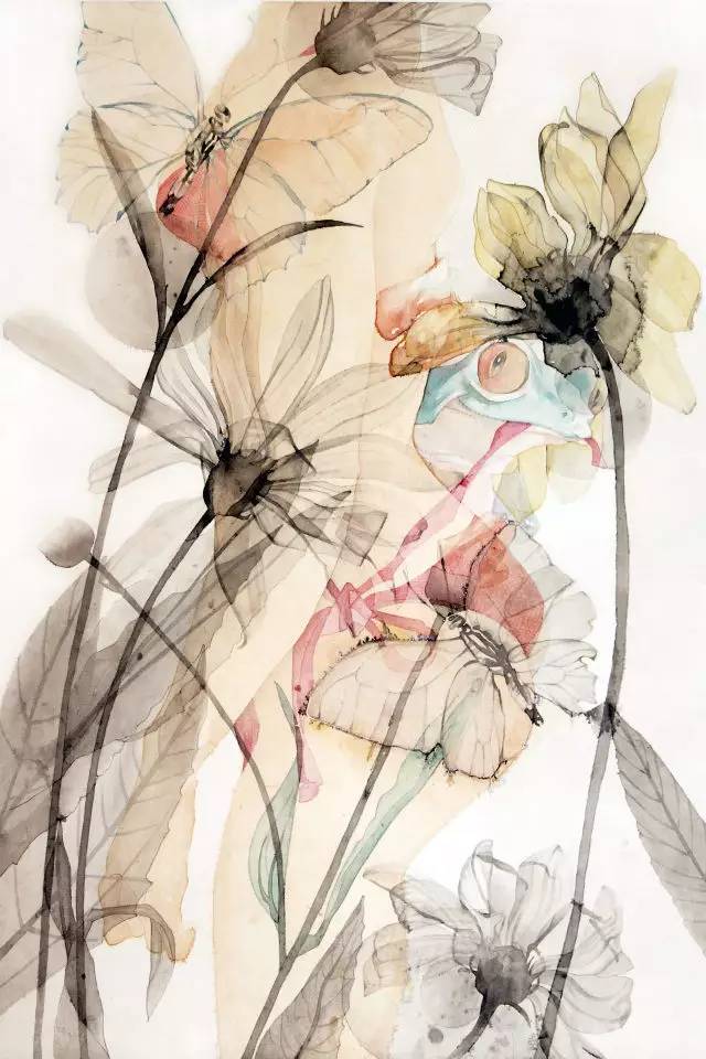 如梦如幻李宇春,如梦似幻昆明蓝花楹盛开如海