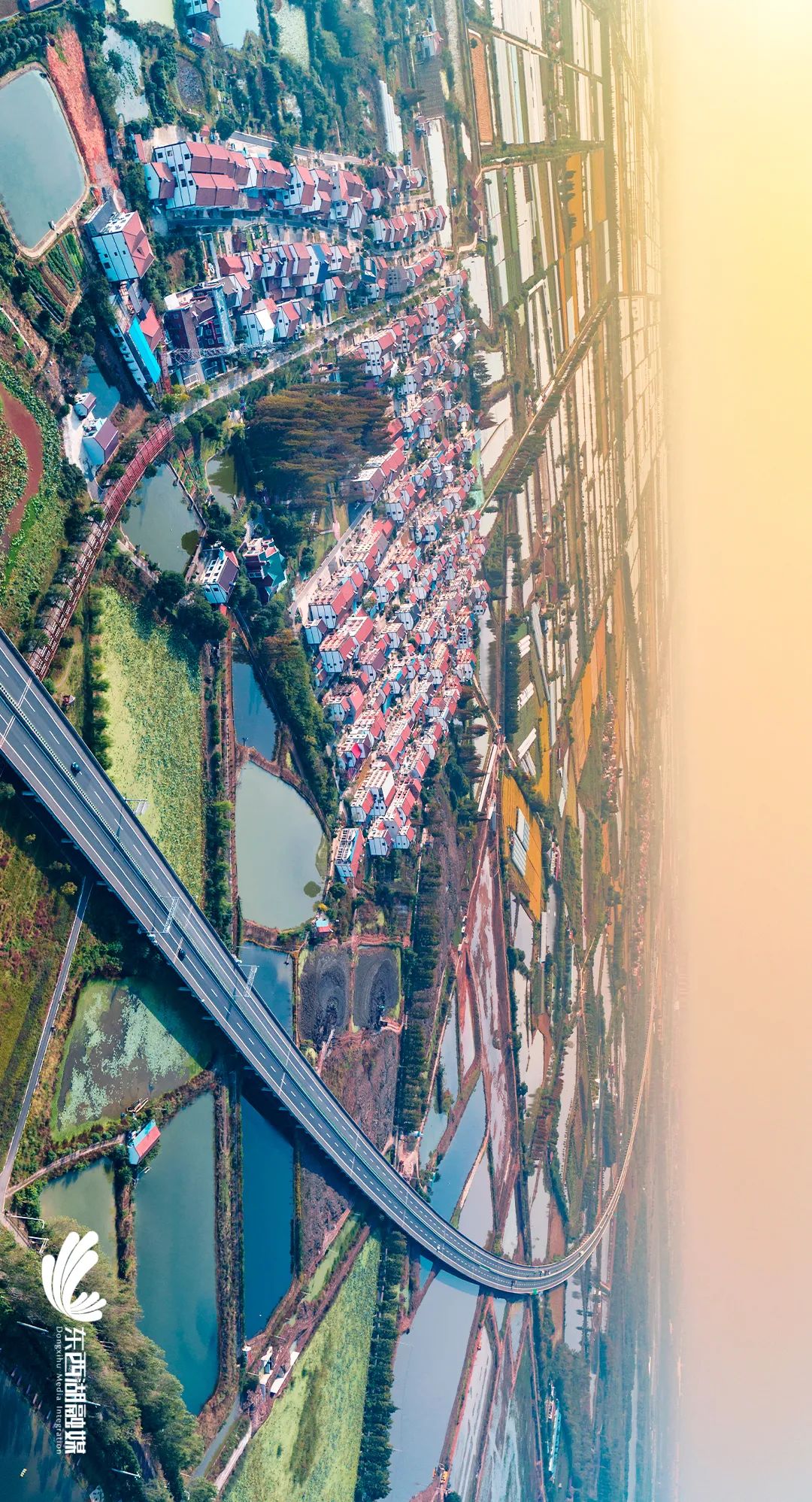 最新东西湖,武汉人眼中的东西湖