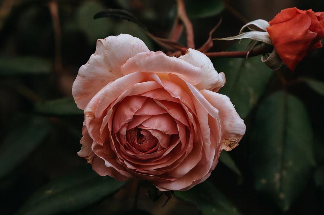 其实爱一个人的最好方式,其实爱一个人很简单完整版