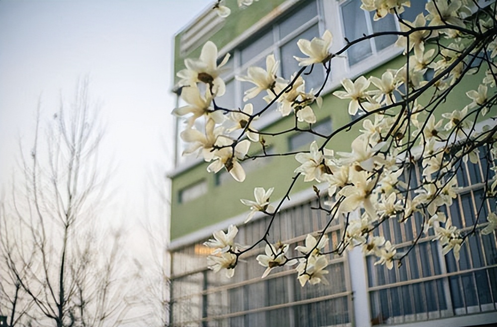 青岛理工大学临沂校区拟发展对象,2021青岛理工临沂校区自荐