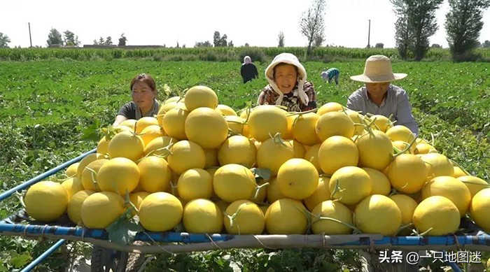中国唯一一个被沙漠环绕的县城,我国西北方有个小城市