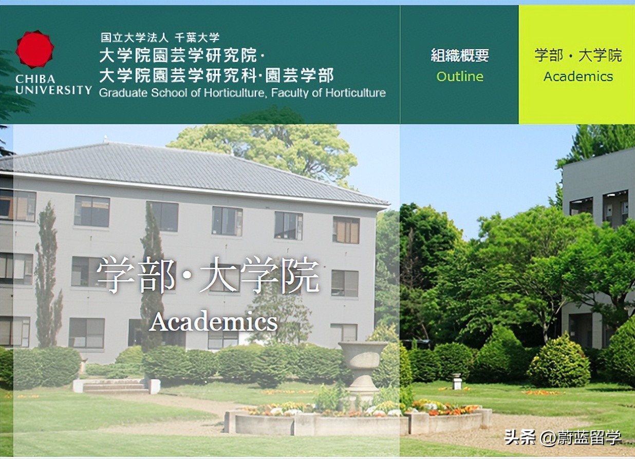 千叶大学园艺学研究生申请条件及成功案例|蔚蓝留学