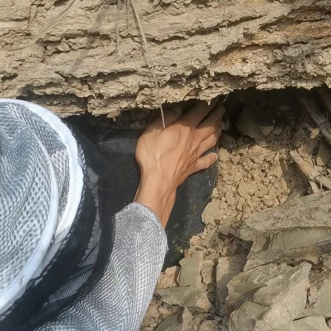 蜜蜂户外诱蜂桶的温度,蜜蜂诱蜂桶怎么处理