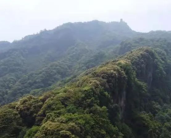 又见花开都江堰完整版,又见花开都江堰